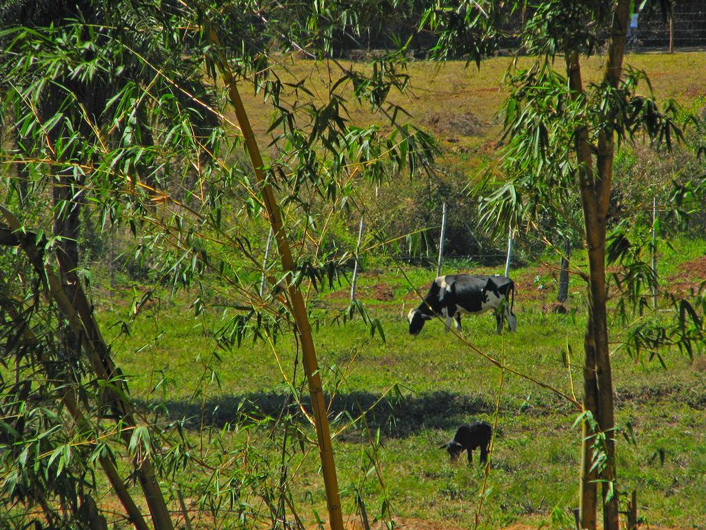Pousada Kafundo - Inhotim Brumadinho Exterior photo